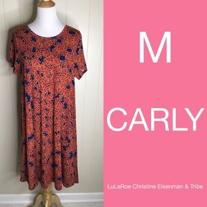 LuLaRoe Carly T-shirt dress